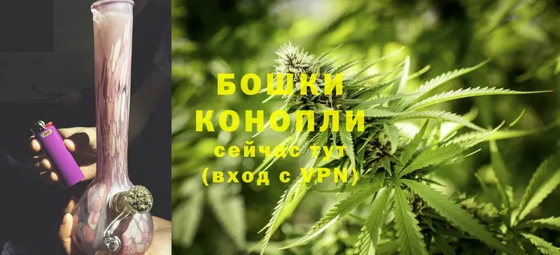 Каннабис White Widow  MEGA ТОР  Трубчевск 